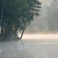 Туманное утро...... :: Юрий Цыплятников