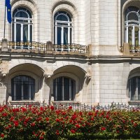 Вена, розы у посольства Франции :: Игорь Сикорский