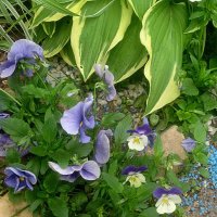 На улицах города :: Елена Семигина На улицах города :: Елена Семигина