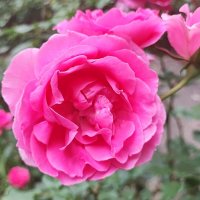 ,,, :: Сергей Тимоновский