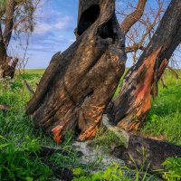 Сгоревшие... :: Влад Никишин Сгоревшие... :: Влад Никишин