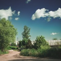 Белоголовль :: Sergei Vikulov