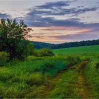 **** :: Алексей Мезенцев **** :: Алексей Мезенцев