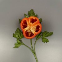 Полезный цветок :: Виктор Орехов