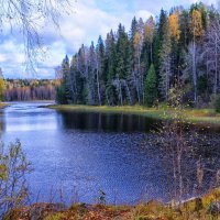 река  Янис :: Ольга Cоломатина