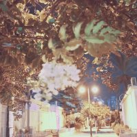 13  ОПЕН (182) :: OPEN WAYS ALL