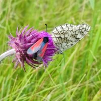 Ветерок, а мы танцуем :: Валентина Богатко 