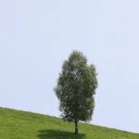 Одиночество. :: Александр Кондаков