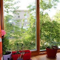 Мой дом. :: Венера Чуйкова Мой дом. :: Венера Чуйкова