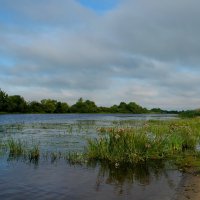 ... :: Елена Пономарева