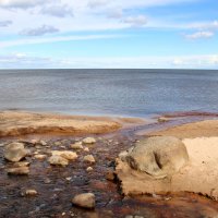 Ладожское Озеро :: Наталья Герасимова