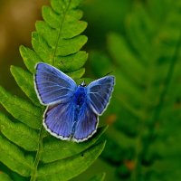 из снятого вчера 4 :: Александр Прокудин из снятого вчера 4 :: Александр Прокудин