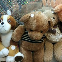 пёс явно что то задумал :: Осень 