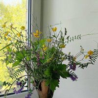 *** :: Любовь Сахарова