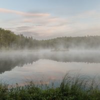 Утро туманное :: Sergey38 