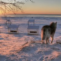 Зима ) :: Cергей Кочнев