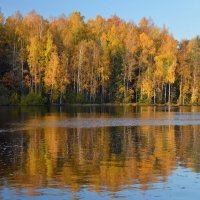 Осенним днём....... :: Юрий Цыплятников
