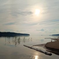 Тишина. :: Ирина *