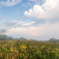 После дождя :: daimos 