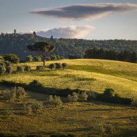 Вечерний свет :: Алекс Римский