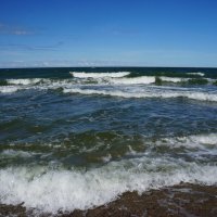 ~~~~~~ :: Алёна Савина