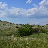 Донские виды. :: Виктор 