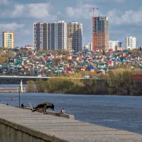 У реки... :: Сергей Шатохин 