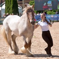 Парад пород :: Алексей Смирнов