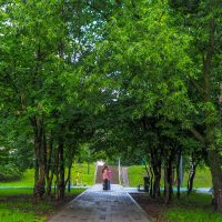 ***** :: юрий поляков