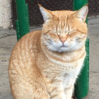 Поднимите мне веки... :: Владимир Павлов Поднимите мне веки... :: Владимир Павлов