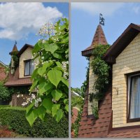 Башня с флюгером :: Татьяна Машошина Башня с флюгером :: Татьяна Машошина