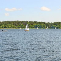 Браславские озера. озеро "Дривяты" :: Борис 