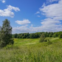 Под небом июня... :: Владимир Жданов