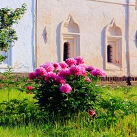 Летний день :: Сергей Кочнев