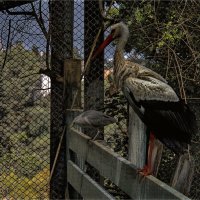 Хайфа 06,2025году :: ujgcvbif 