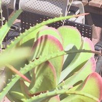 13  ОПЕН (192) :: OPEN WAYS ALL