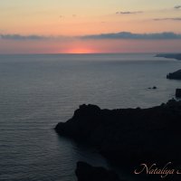 Природа Крыма :: Amazing Cosmea