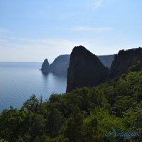 Природа Крыма :: Amazing Cosmea