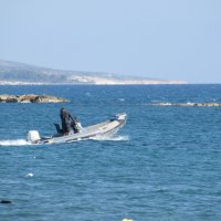 *** :: Oleg4618 Шутченко