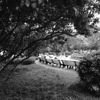 /// :: Виктор Никитенко