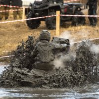 И плывем и едем! :: Александр Гриднев