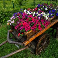 * * * :: Андрей Лукьянов