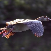 -- :: vladimir -- :: vladimir