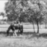 ********** :: Владимир Железнов