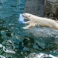 Белый :: SanSan 