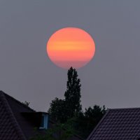 ***** :: Виталий Емельянов