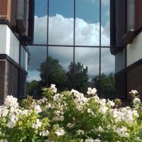 *** :: Валентина Береснева