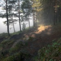 Полоска света :: Марина Фомина.