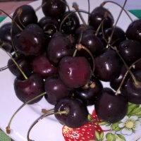 **** :: Елена Семигина **** :: Елена Семигина