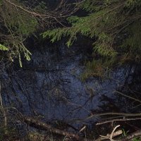 Топь :: Денис Бочкарёв